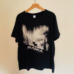 NWT Alaska northern lights graphic tee
